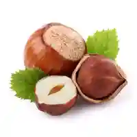 avellano