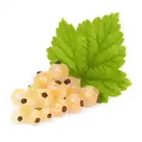 grosella1