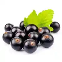 grosella5